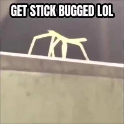 Most satisfying video ever