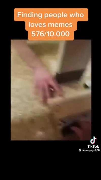Haha yes i love memes😂😂😂😂