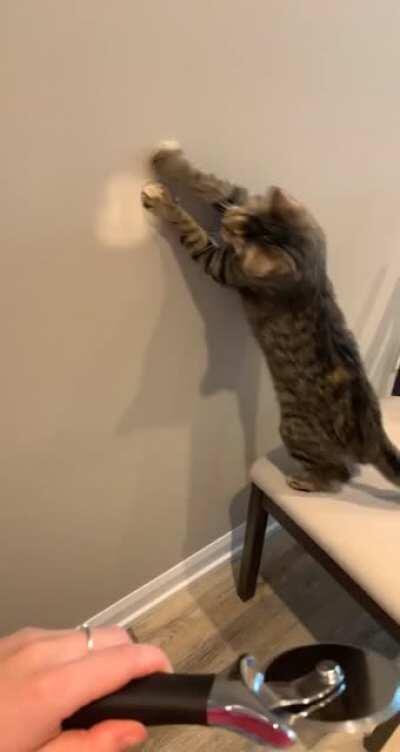 Why do I even buy her nice toys?