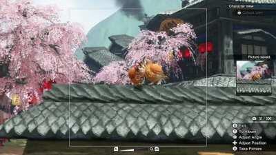 MY Cohoot found a lover!