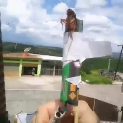 Guy ties a cockroach to a rocket to assert dominance