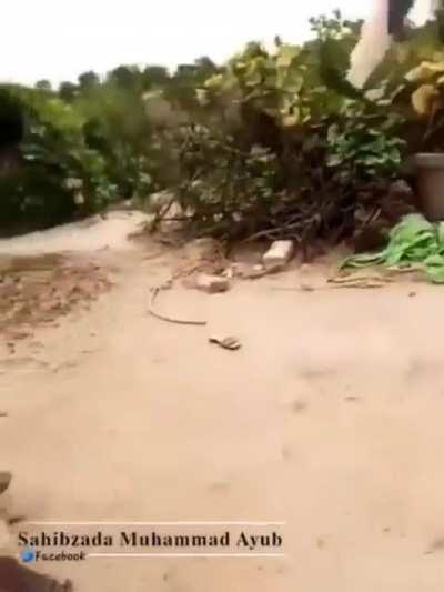 🅱️ulla rkhta hai khulla... apni apni g@@nd bachao