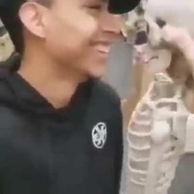 A skeleton's favorite snack