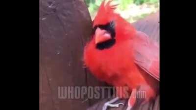 I'm tryna get high 'til I can't feel nothin'