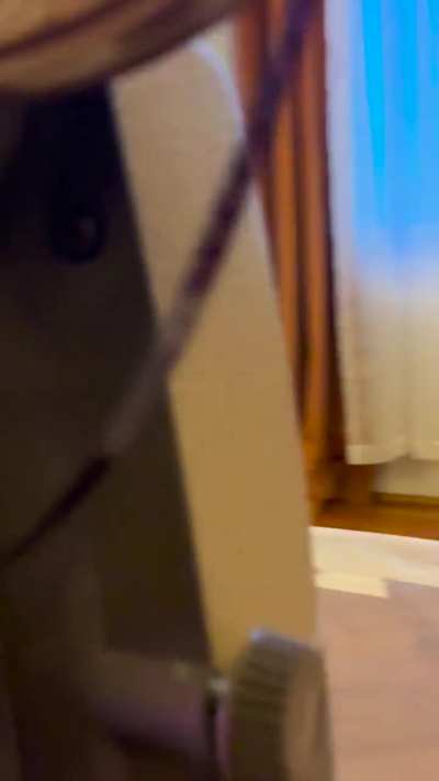 Xmas present for dad - help!