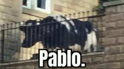 Pablo.