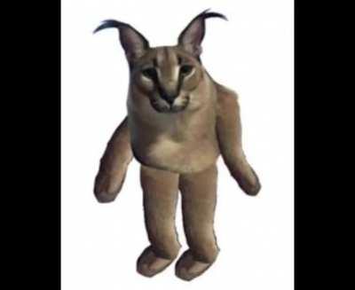 I spent 30 min on this