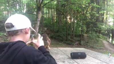 He can&rsquo;t believe he managed to get this close to an owl