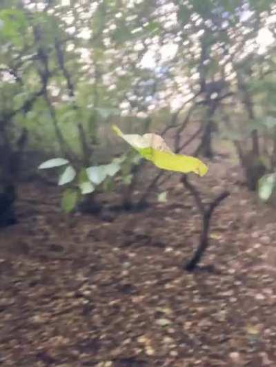 Time stopped on today’s walk