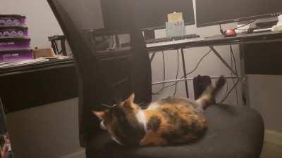 Pre-dinner Possession