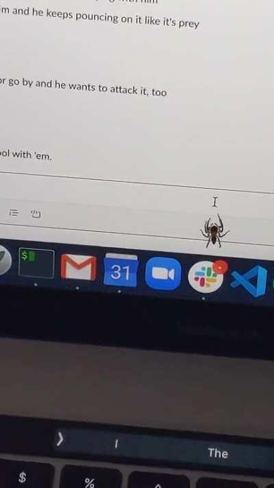 A friend sent me this video he took