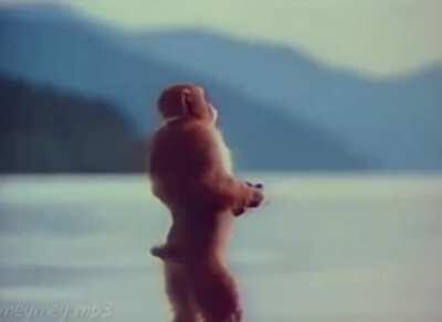 How it feels to listen to Devil in a New Dress