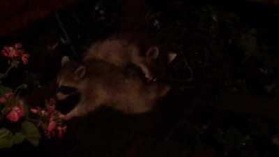 “Mom, I don’t need a bath!”