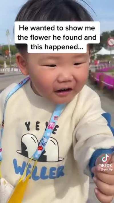 Where’d the dandelion go?