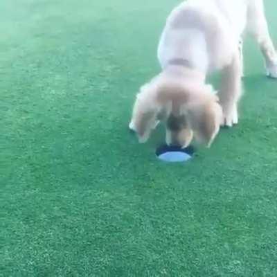 HMK while I get a hole in one!