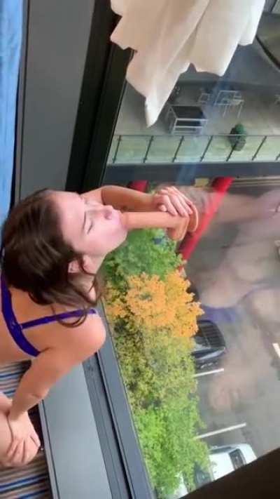 I think my neighbours enjoyed this, I hope you will too;) [OC]