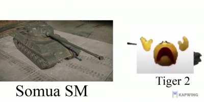 Tiger 2(H) suffers :(((