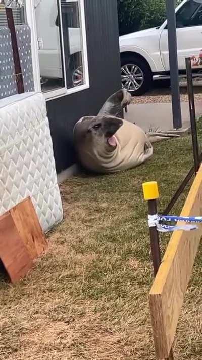 He is very tired from work