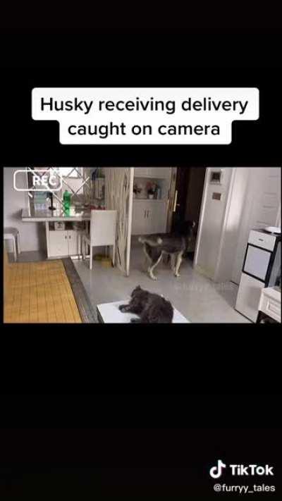 Don't worry I'll take care of it.