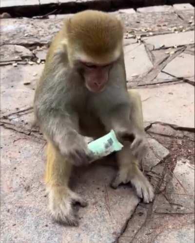 It is important to be hygienic