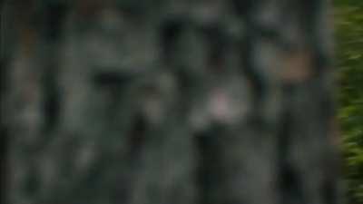 Violett Beane running totally naked