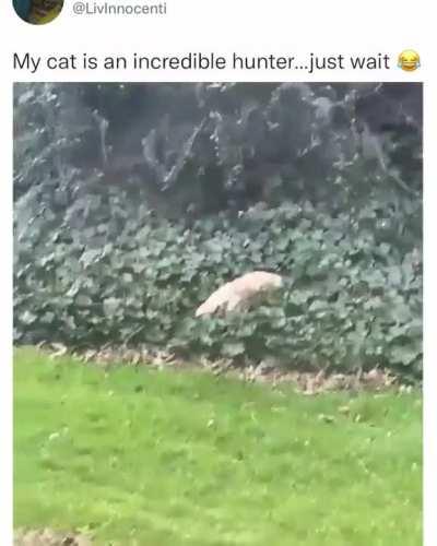 A very calculated hunt