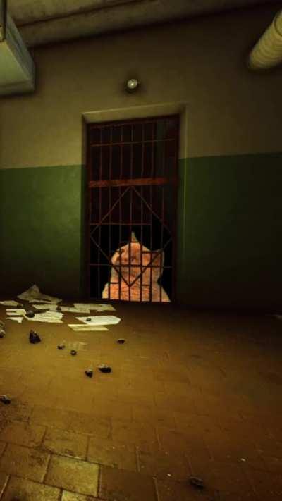 Is this a meme you like?