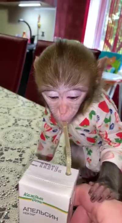 Your health 🥂 The cutest video of today 🥰