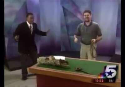 Its’ not the snake you need to worry about