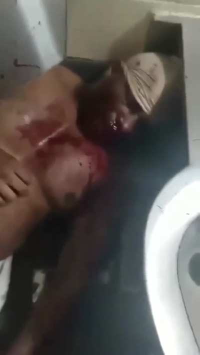 Bird did not wanna leave T alone 🤣🤣🤣🤣🤣