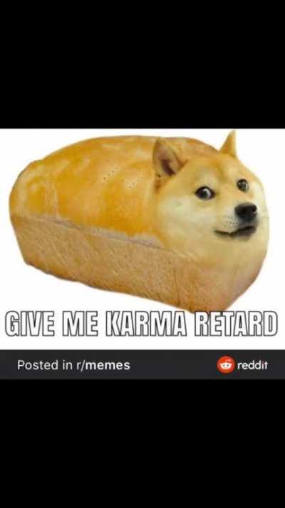 Do it you little shit