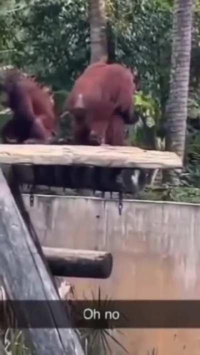 Why they do homie like that?