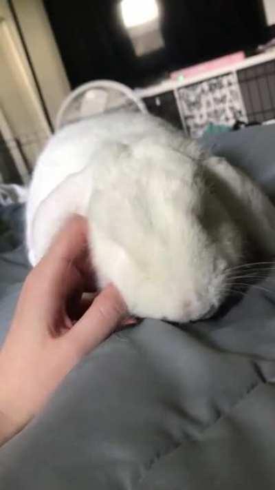 Mornin’ love from my angel 💗🐰🥺