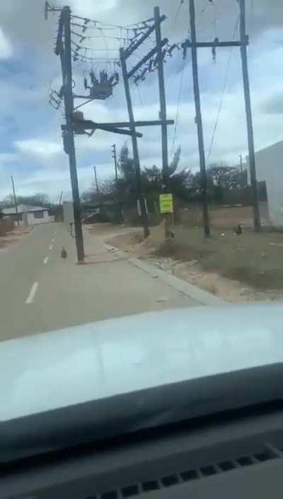 Power line in Bushbuckridge, Mpumalanga 📍