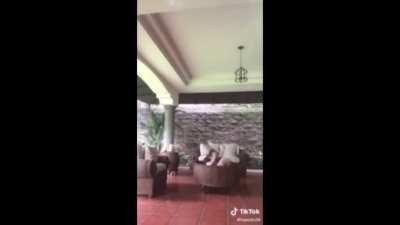 You can hear the terror in her voice