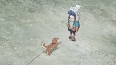 The star quarterbark