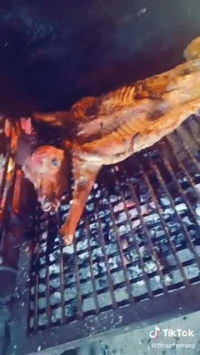 noooo oscaaaar😔🤘