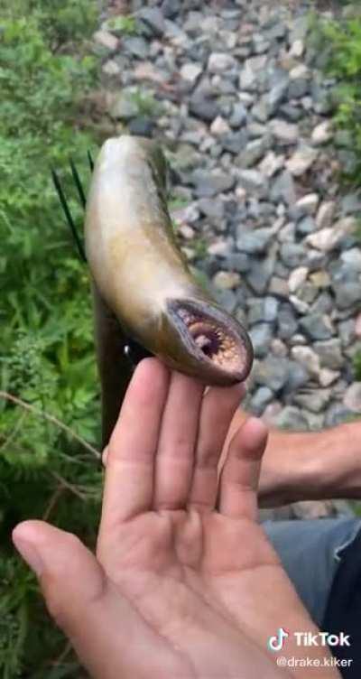 Definitely a bad look for me