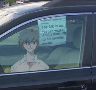 Please don't break the window