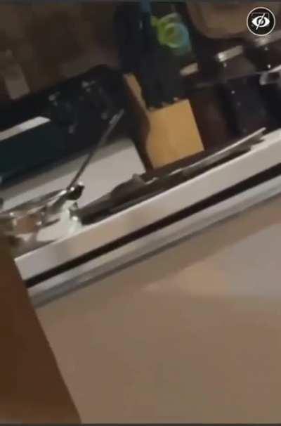 Some indoor target practice