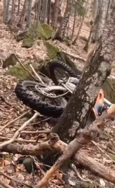 Nature is full of surprises