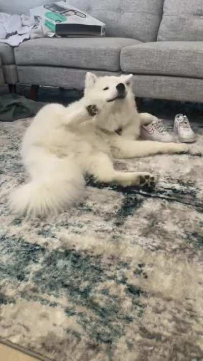 Should I be concerned ??? Im thinking maybe he’s allergic to something ?