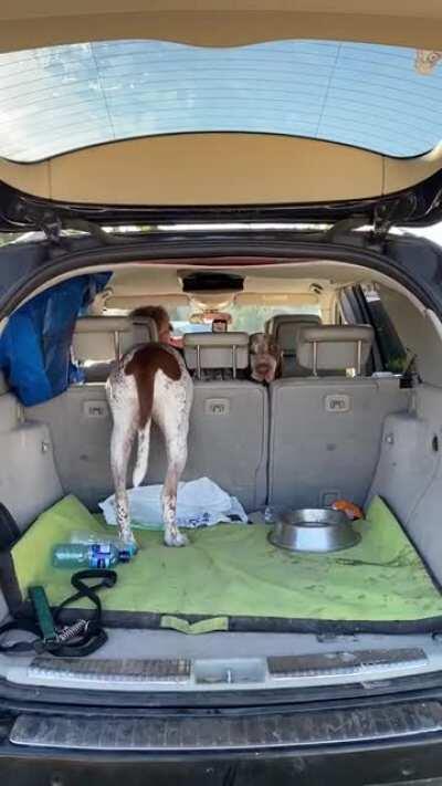 Somebody got a bit stuck