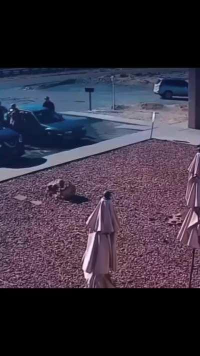 What did we learn from this video