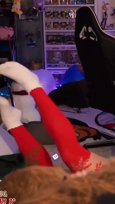 Ali Animus is officially my favorite now