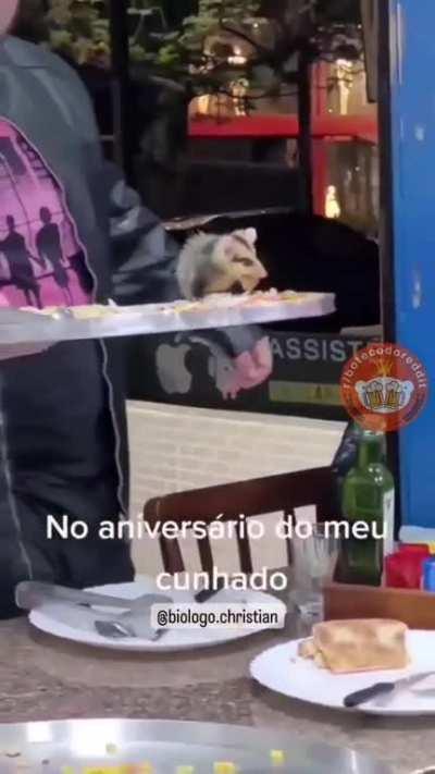 🐿️🐿️🐿️