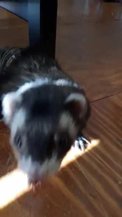 Excuse me good sir, that is my foot!