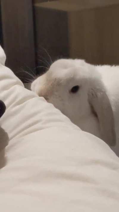 My partner fell down (one) stair last year and tore a ligament in his ankle. He had the best doctor in the world who provides the best medicine.. Lots of kisses 🥰