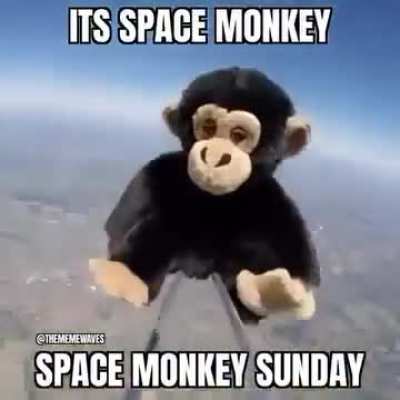 space monke