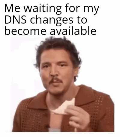 meWaitingForTheDnsChanges